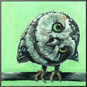 funny owl painting